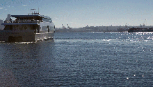 GIF of water taxi photo overlaid with image of ridership 2013, 2014 and 2015, and 515,000 record broken in October 2016.