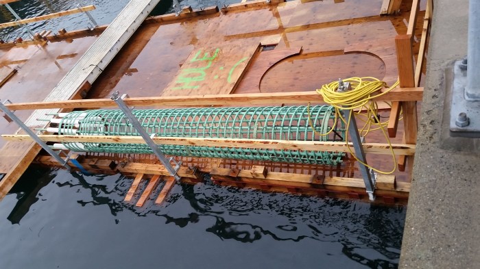 A rebar cage is positioned atop a piling of the future King County Water Taxi Passenger Only Ferry (POF) facility at Colman Dock in Seattle. The cage will be filled with cement that will connect the piling to the trestle and passenger deck of the future facility.