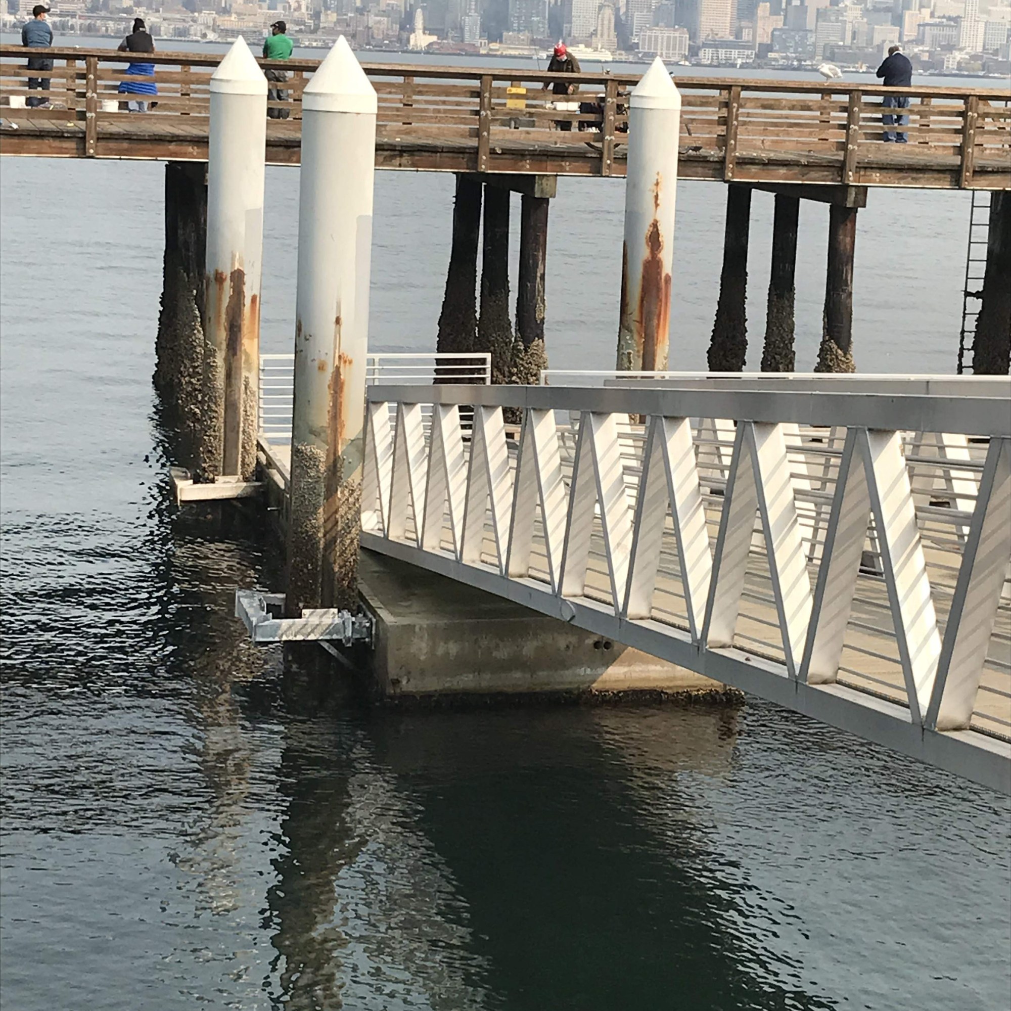 Seattle city skyline appears beyond floats